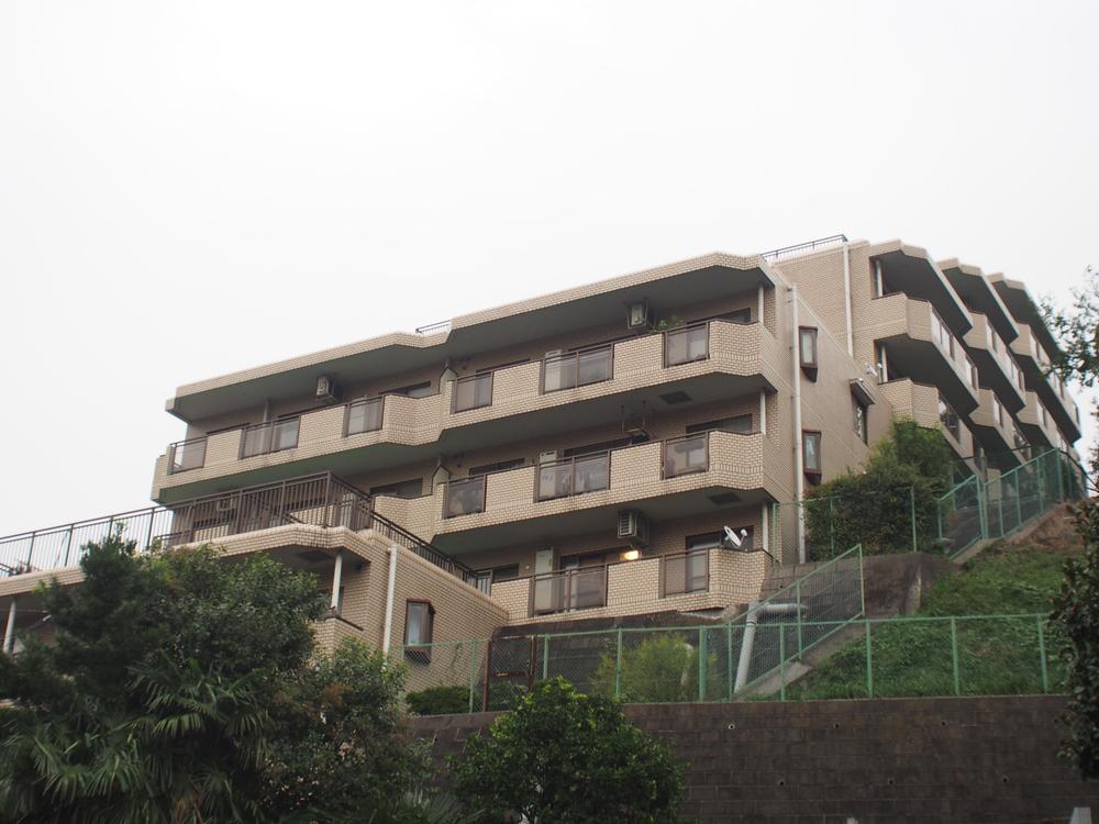 Local appearance photo. Appearance (November 2013) Shooting