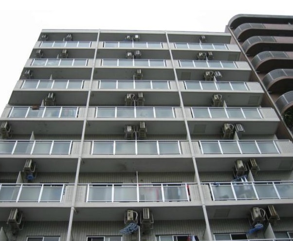 Building appearance. Large property of 9-storey
