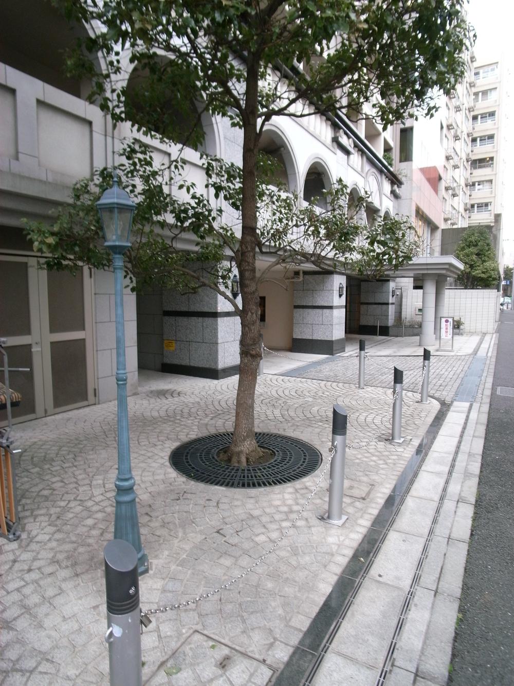 Entrance. Common areas