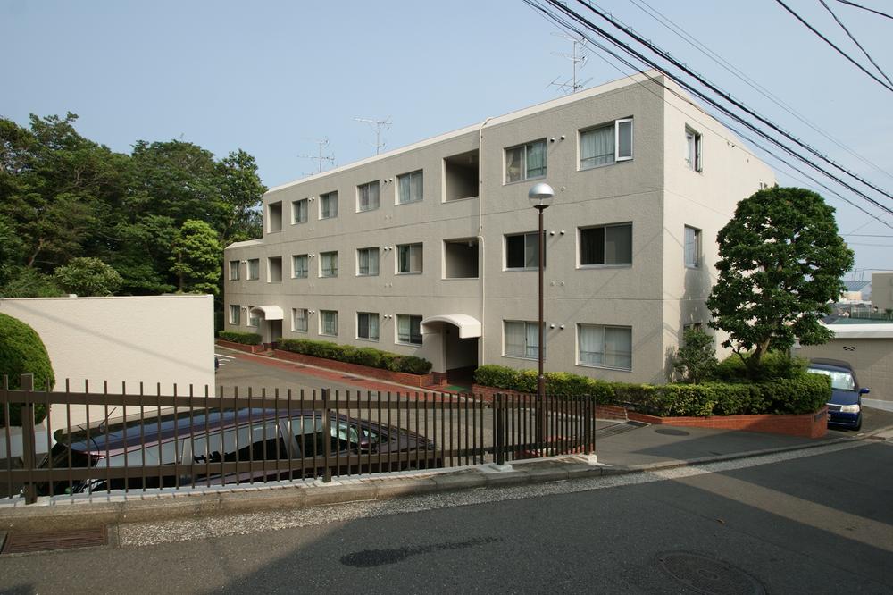 Other local. Local Photos