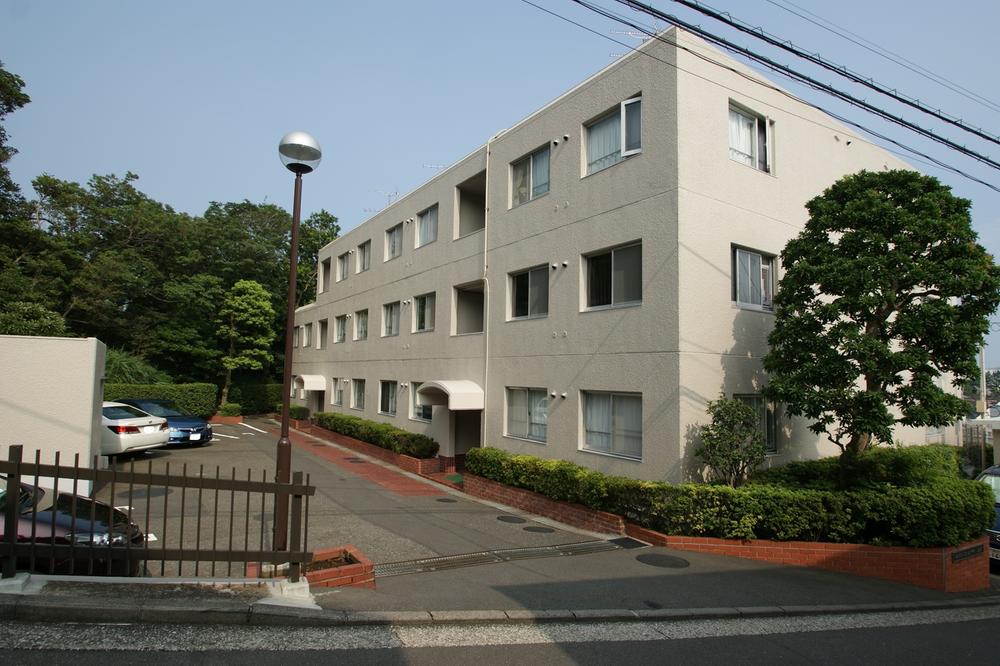 Other local. Local Photos