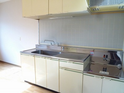 Kitchen. Gas stove can be installed