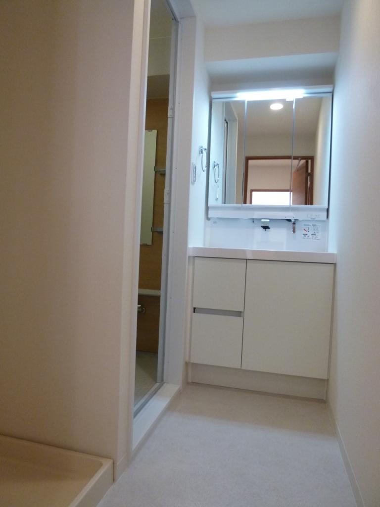 Wash basin, toilet. Indoor (12 May 2013) Shooting