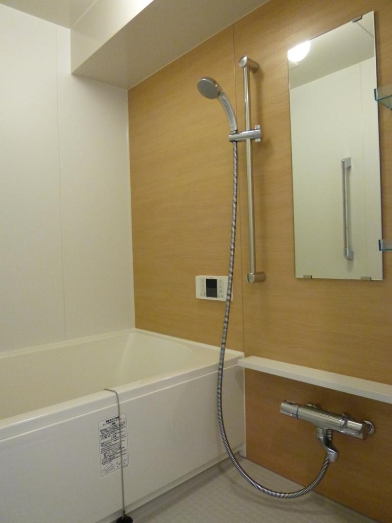 Bathroom. Indoor (12 May 2013) Shooting