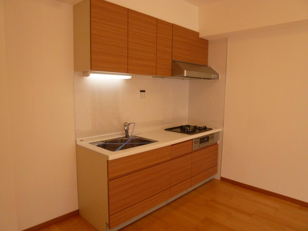 Kitchen. Indoor (12 May 2013) Shooting