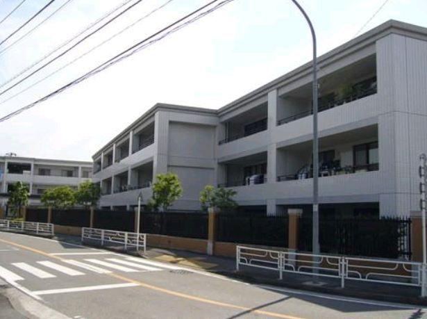 Local appearance photo. Luxurious appearance.