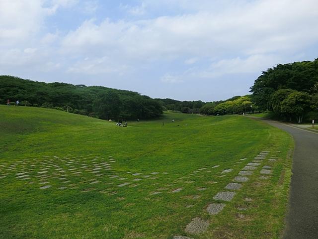 park. Negishi Forest Park