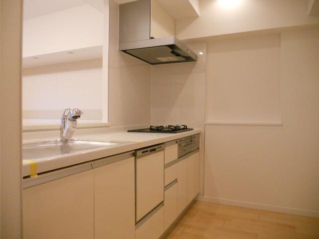 Kitchen. Indoor (11 May 2013) Shooting