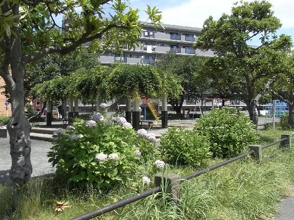 Other. Neighborhood park