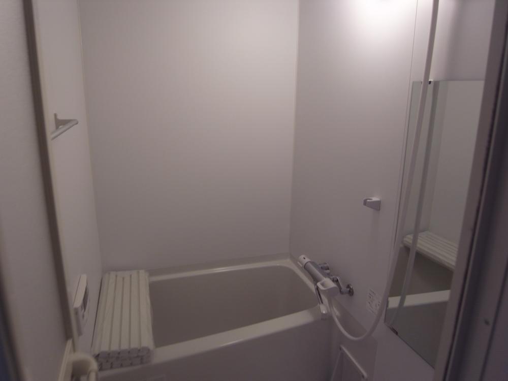 Bathroom. Indoor (10 May 2013) Shooting