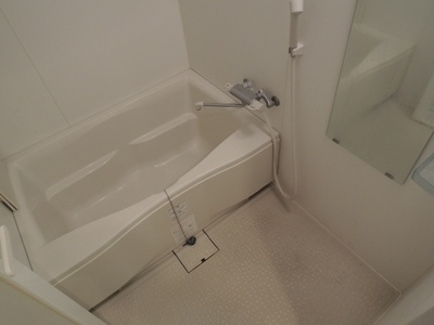 Bath. Bathroom (bathroom ventilation dryer)