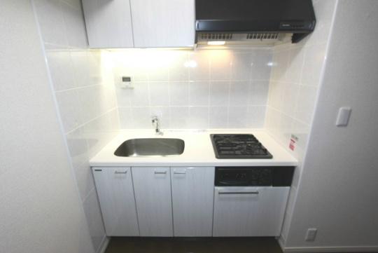 Kitchen. With gas two-burner grill