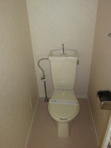Toilet. Warm water washing toilet seat installation Allowed