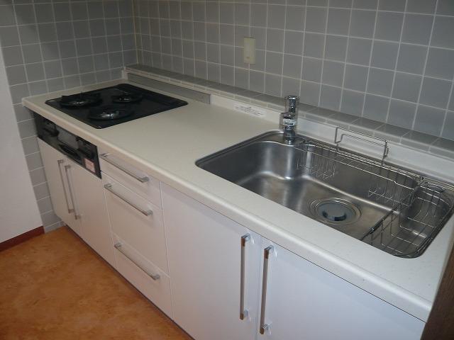 Kitchen. Indoor (12 May 2013) Shooting