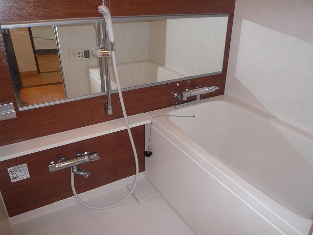 Bathroom. Indoor (12 May 2013) Shooting