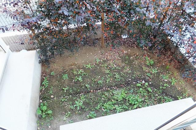 Garden. 2013 December 5 shooting