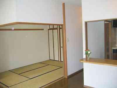 Non-living room. Japanese style room
