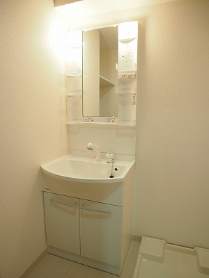 Washroom. Bathroom vanity