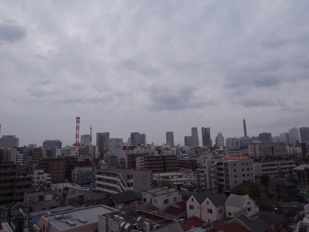 View photos from the dwelling unit. You views of the Landmark Tower.