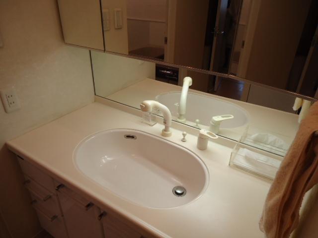 Wash basin, toilet. Local (11 May 2013) Shooting