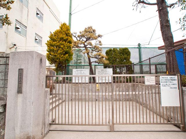 Primary school. Yokohama Municipal solitary pine tree 200m up to elementary school