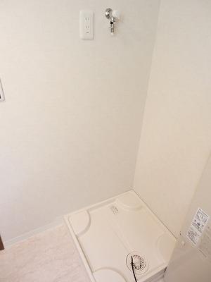 Wash basin, toilet. Laundry Area