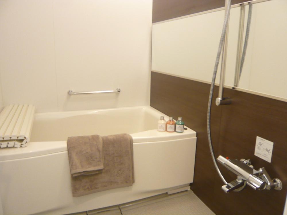 Bathroom. Indoor (October 28, 2013) Shooting