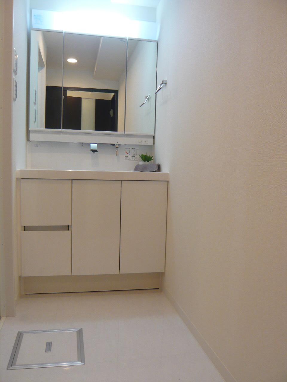 Wash basin, toilet. Indoor (October 28, 2013) Shooting