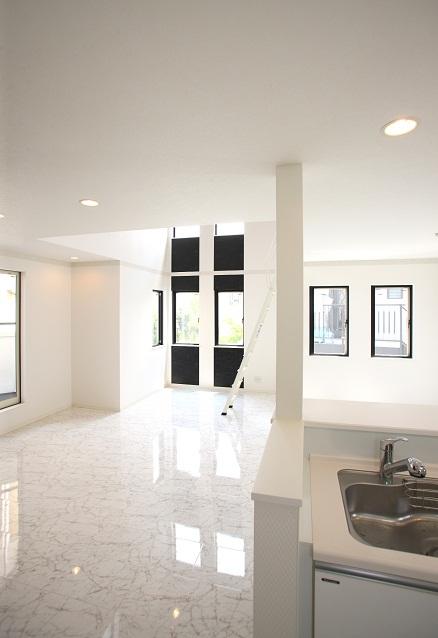 Living. Building construction cases (LDK)