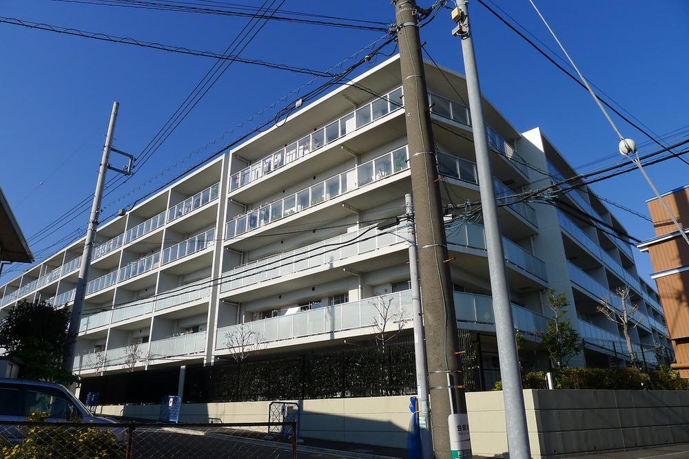 Local appearance photo. Appearance of stylish white