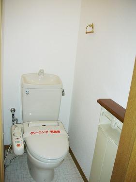 Toilet. There is a toilet on the first floor and the second floor. It is with a bidet. 