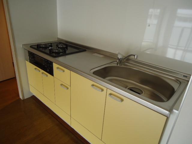 Kitchen. Local (11 May 2013) Shooting