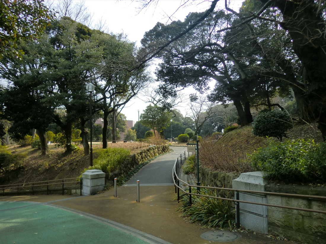 Other. Nogeyama park