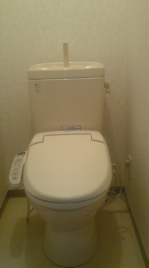 Toilet. Bidet