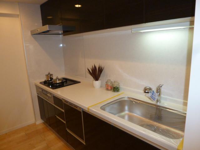 Kitchen. Indoor (11 May 2013) Shooting