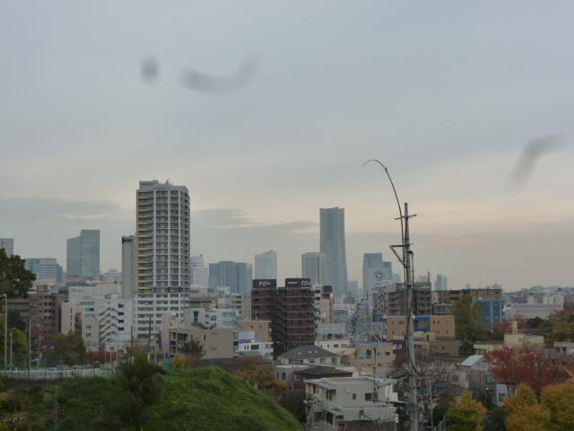 View photos from the dwelling unit. Land Mar Tower peripheral view (November 2013) Shooting