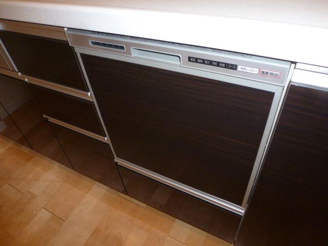 Kitchen. Dishwasher (November 2013) Shooting