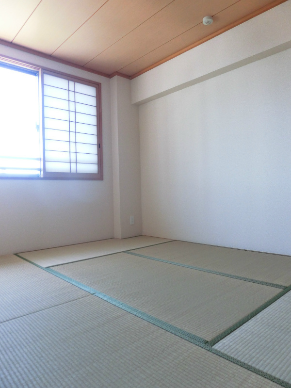 Other. Beautiful tatami Japanese-style
