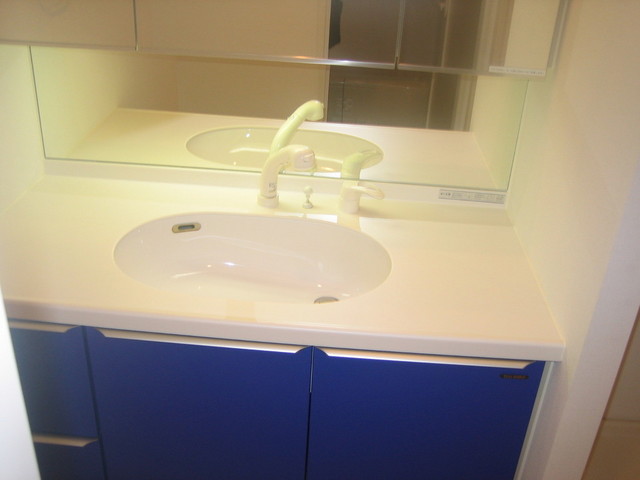 Washroom. Glad shampoo with vanity