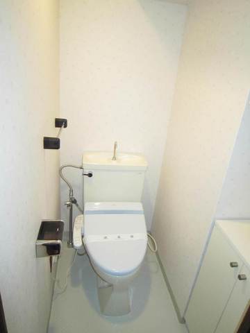 Toilet. Toilet with a space