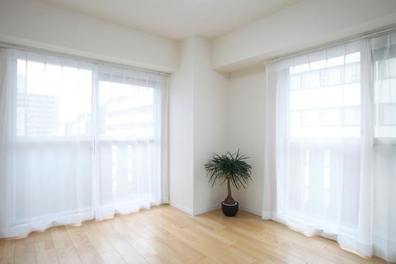 Living. Renovation construction cases