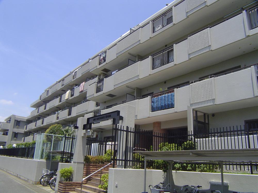 Other. Local (11 May 2013) Shooting