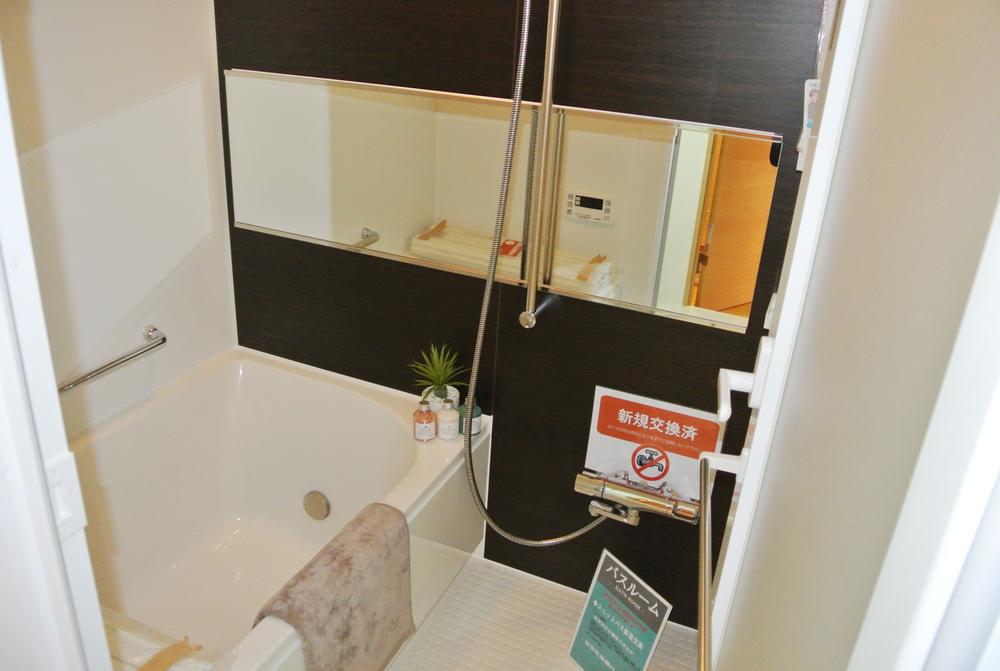 Bathroom. Local (11 May 2013) Shooting