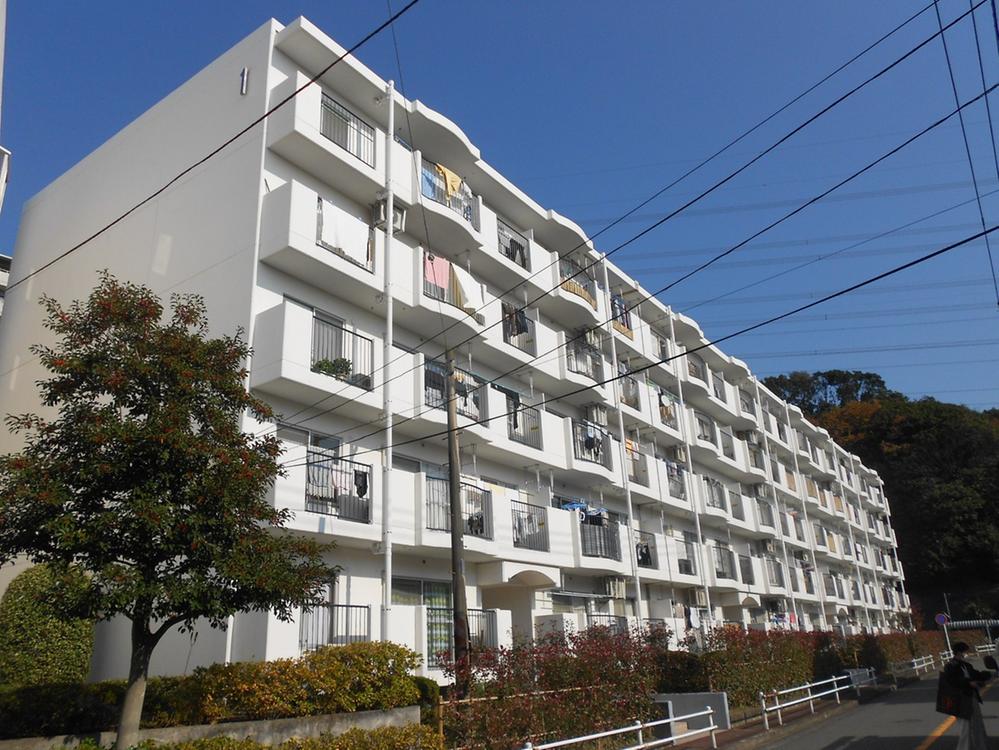 Local appearance photo. Local (12 May 2013) Shooting