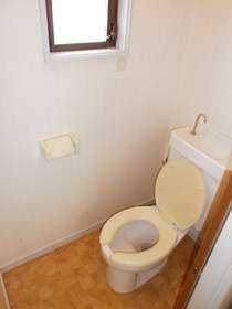Toilet. Toilet