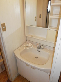 Washroom. Wash basin
