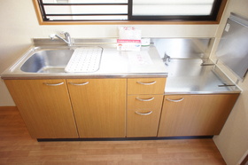 Other. Kitchen sink