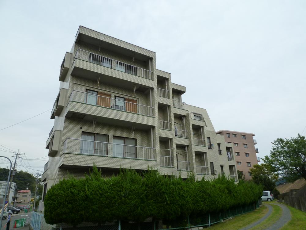 Local appearance photo. Local (10 May 2013), taken from the south side