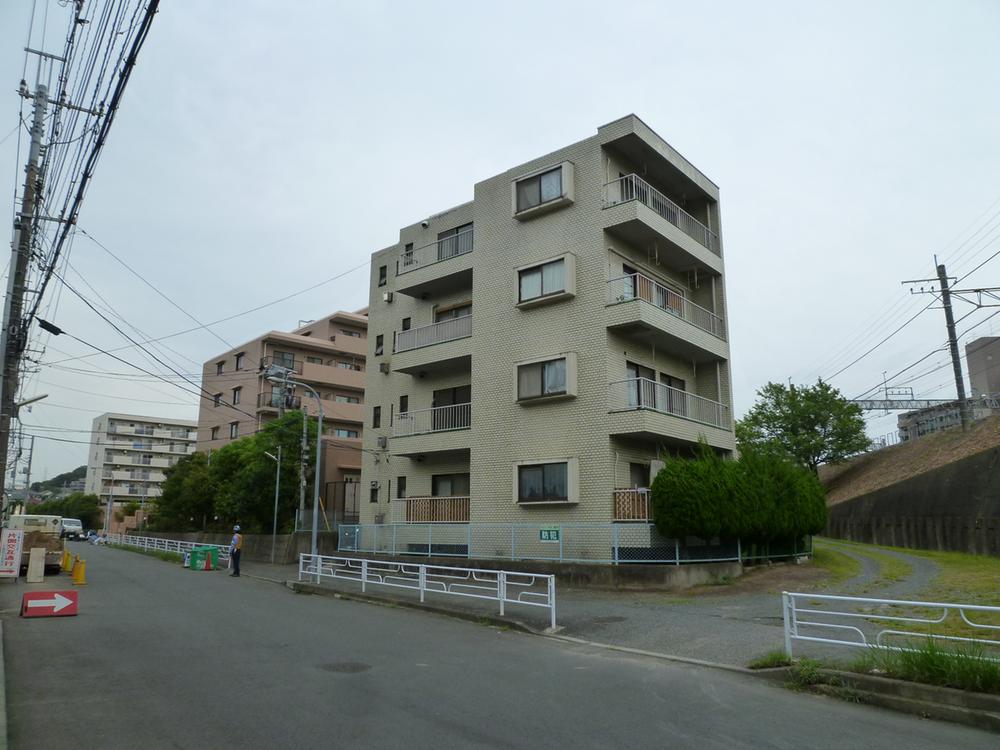 Local appearance photo. Local (10 May 2012) taken from the southwest side