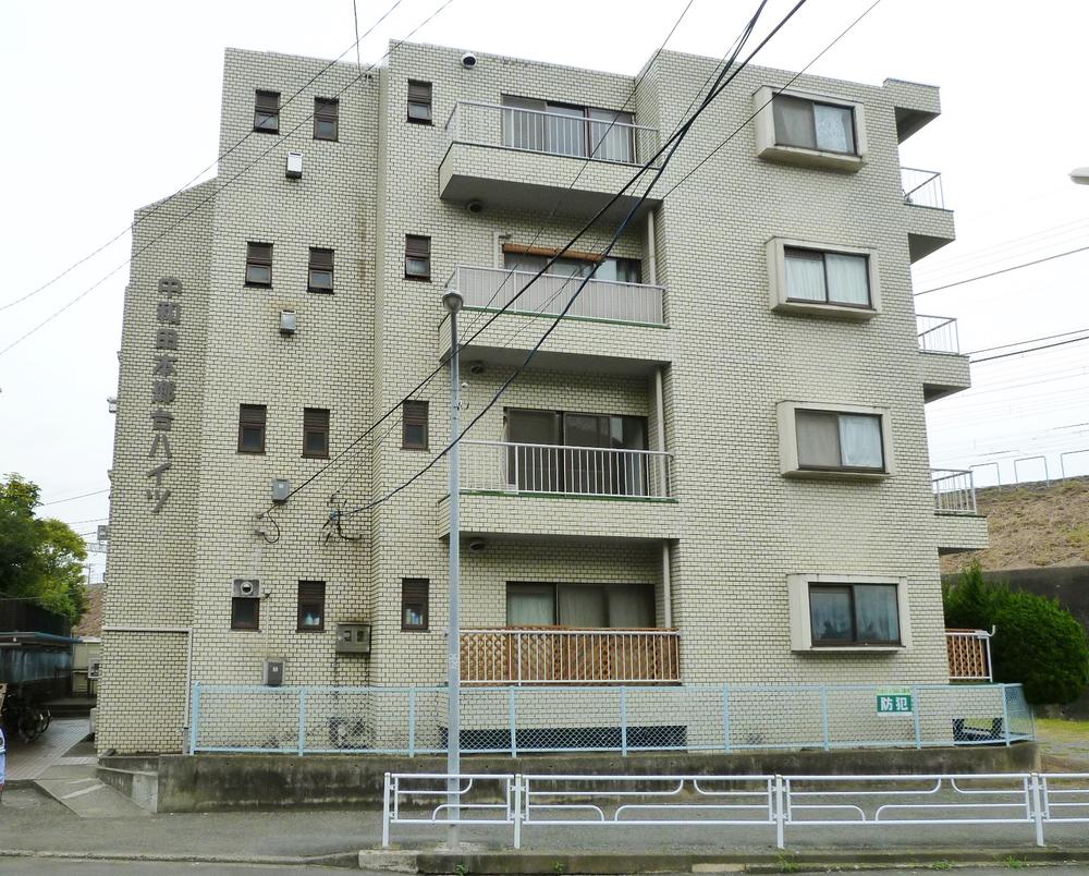 Local appearance photo. Local (10 May 2013) shooting from west